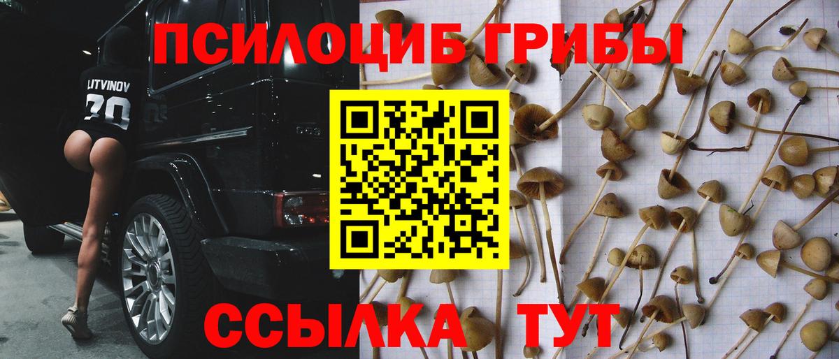 Псилоцибиновые грибы MAGIC MUSHROOMS Тында